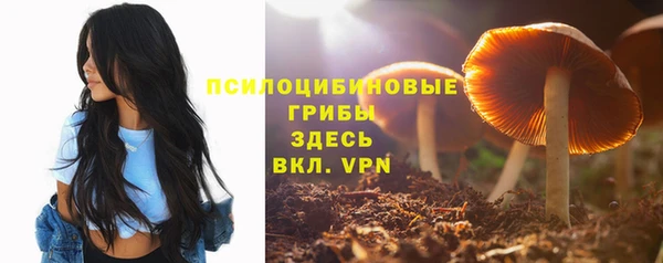 наркотики Алексин