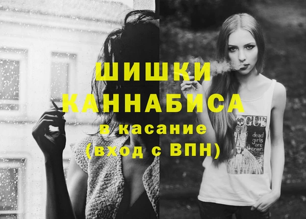 винт Алзамай