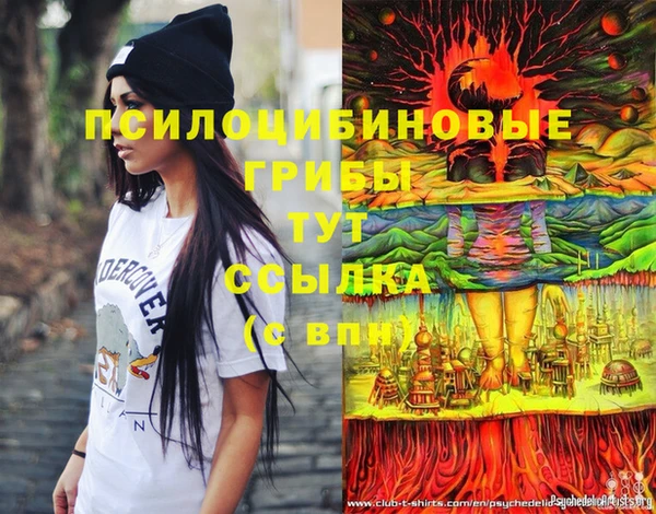 наркотики Алексин