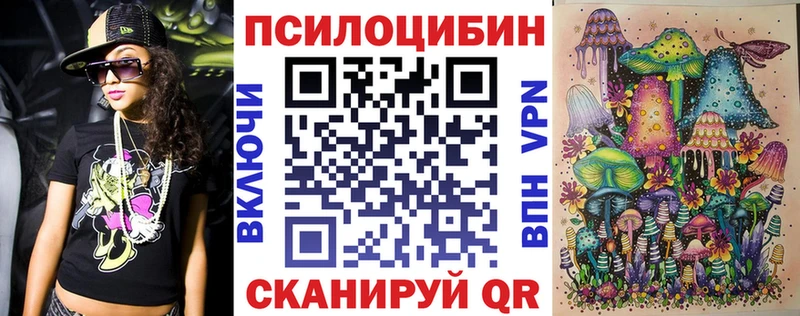 Купить Звенигово Галлюциногенные грибы Cubensis